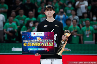 西蒙尼：勒诺尔芒训练表现很好，不会对阿尔瓦雷斯有特殊要求